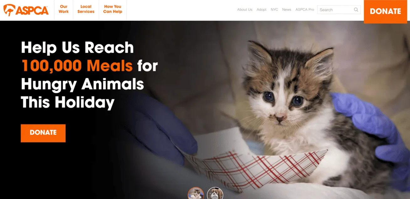 ASPCA.ORG