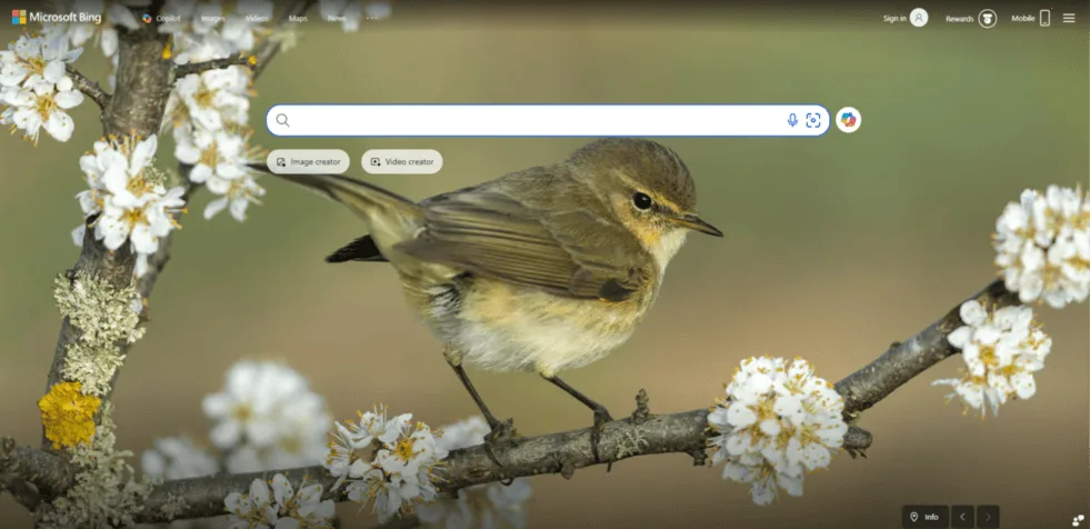 BING.COM