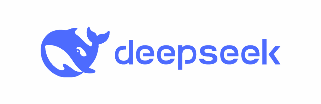 DEEPSEEK.COM