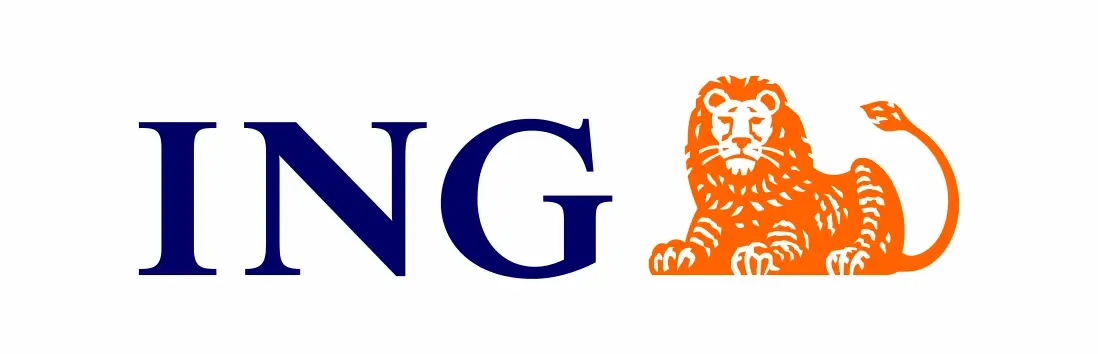 ING.COM