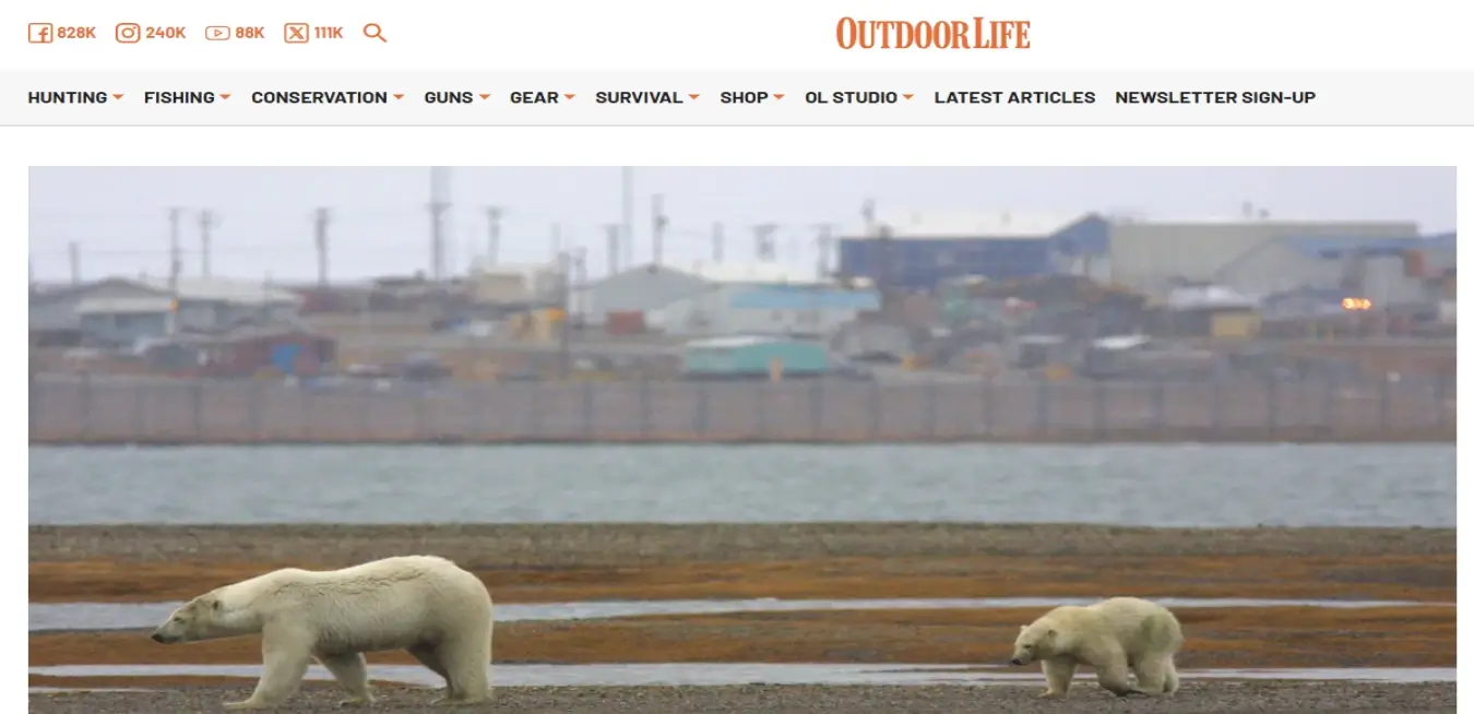 OUTDOORLIFE.COM